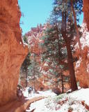 Bryce Canyon